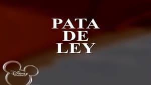 Episodio 29