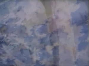 Episodio 81
