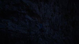 Безумные подражатели — foto 1