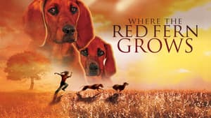 Where the Red Fern Grows — foto 4