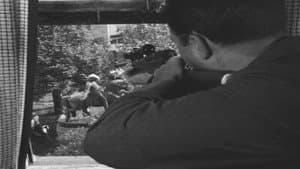 Episodio 14