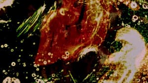 Delicacies of Molten Horror Synapse — foto 2