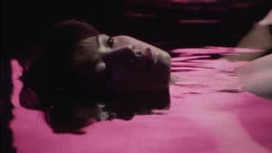 XX 美しき機能 — foto 8