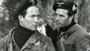 Tiro al piccione — foto 3
