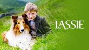Lassie — foto 4