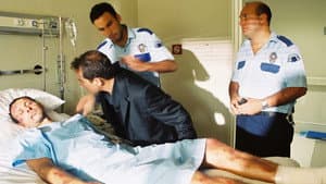 Mustafa Hakkında Her Şey — foto 2