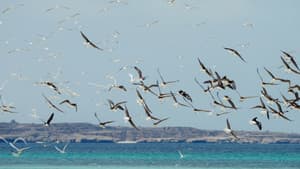 هورايزن — foto 8