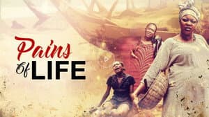 Pains Of Life — foto 1
