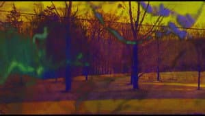 Joose Psychedelia Test — foto 12