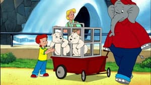 Episodio 19