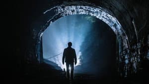 Se Ocultan en la Oscuridad — foto 3