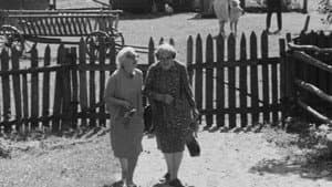 Seserys — foto 1