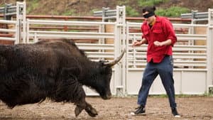 Jackass 2 — foto 4