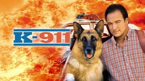 Superagente K-911 — foto 11