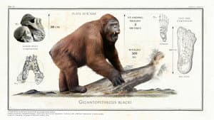 Big Beasts: Last of the Giants — foto 11