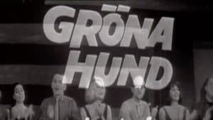 Gröna Hund — foto 1