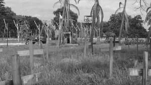The Camp on Blood Island — foto 1