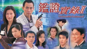 鑑證實錄 — foto 3