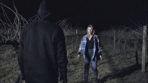 Lo que se oculta en las sombras — foto 4