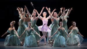 The Sleeping Beauty — foto 1