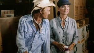 Hot Stuff — foto 2