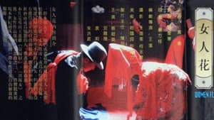 女人花 — foto 1