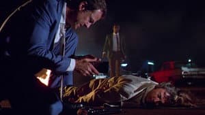 Hickey & Boggs — foto 11
