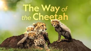 The Way of the Cheetah — foto 2