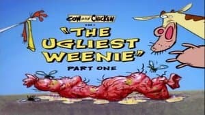 Episodio 13