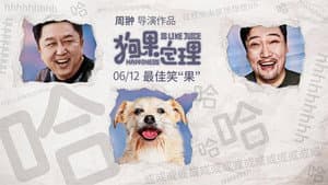 狗果定理 — foto 1
