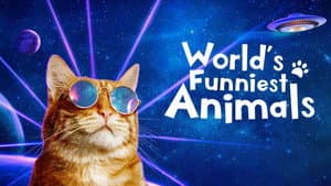 World's Funniest Animals — foto 3