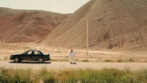 تاکسیدرمیست — foto 1