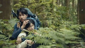 山忌 黃衣小飛俠 — foto 10