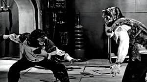 House of the Wolf Man — foto 2