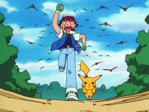 ¡Pokémon, Yo Te Elijo!