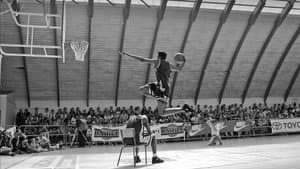 Dunk or Die — foto 3