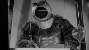 Robot Monster — foto 4