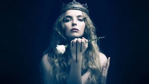 La Princesa Blanca — foto 8