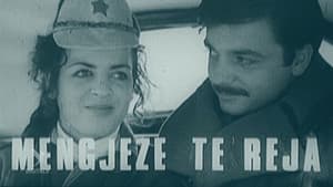 Mëngjese të reja — foto 1