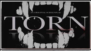 Torn — foto 1