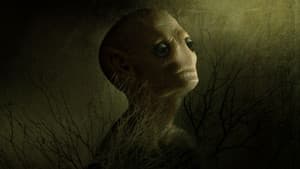Hellier — foto 2