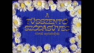 Episodio 10