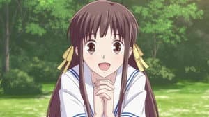 Fruits Basket — foto 12