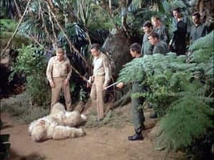 Episodio 7