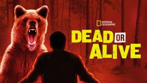 Dead or Alive — foto 5