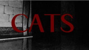 CATS — foto 1