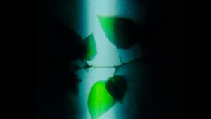 Herbaria — foto 8