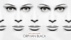 Orphan Black — foto 10