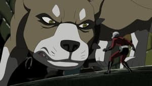Episodio 5