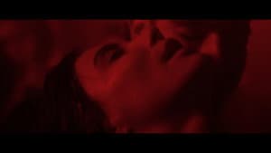 Paralisia — foto 1